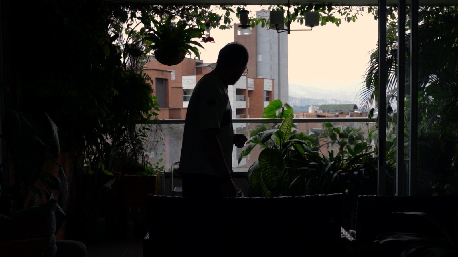 Fotograma a contraluz que muestra la silueta de un hombre de pie en un interior oscuro, mirando hacia un balcón iluminado lleno de plantas tropicales con vista a edificios residenciales de ladrillo y montañas al fondo