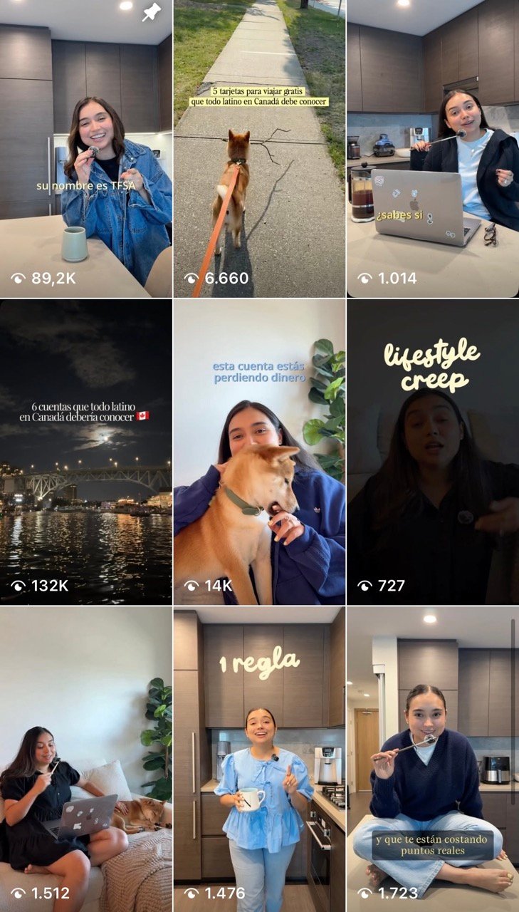 Redes sociales de Nikkisvenuture: scroll de Instagram mostrando la retícula con 9 videos