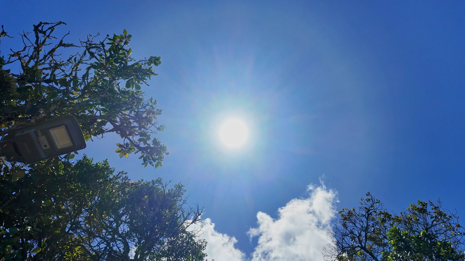 Plano contrapicado del sol brillante en un cielo azul despejado, enmarcado por las ramas de los árboles y una lámpara.